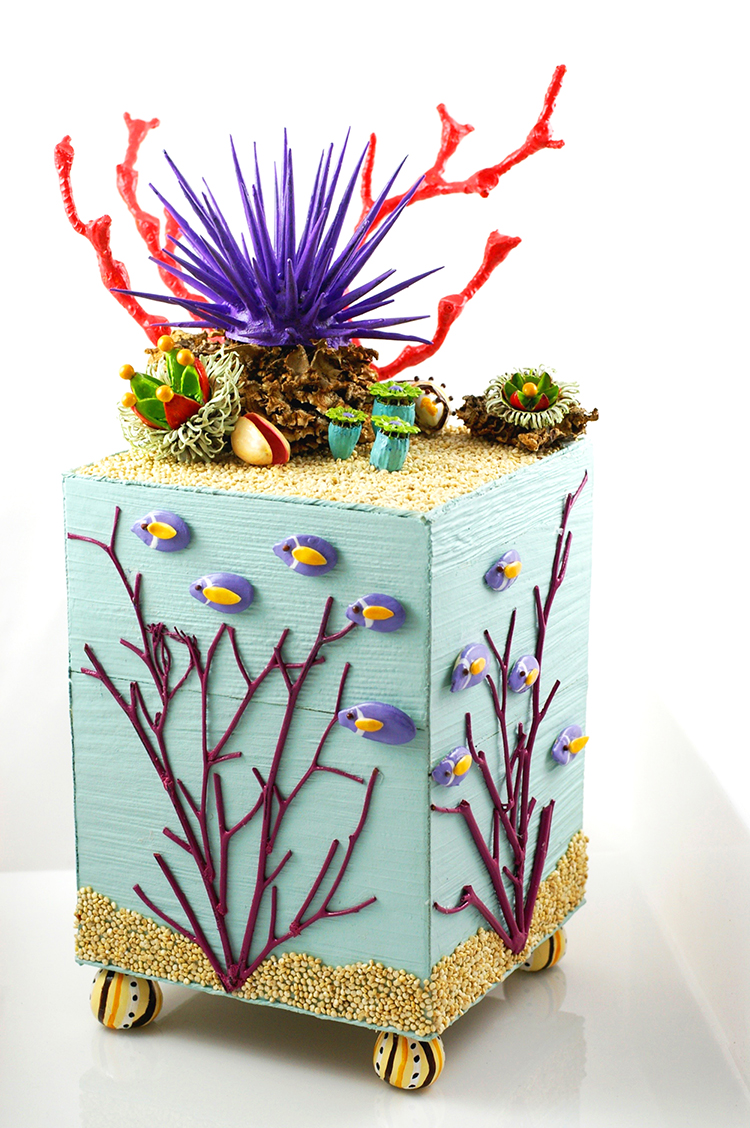 Philly Coral Box